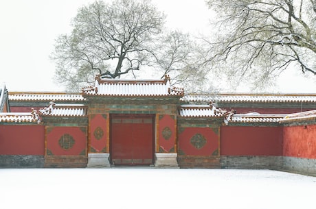 自驾游保险 享受当地的美景就很不错了