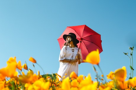 碎花裙搭配(碎花裙搭配让你成为夏日时尚焦点)