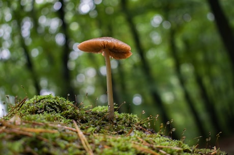 金针菇怎么做好吃(金针菇的8种好吃做法，这样做让你吃得开心)