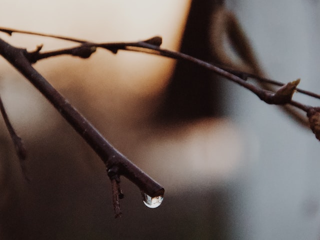 春雨惊春清谷天(春雨惊春清谷天：春季到来，醒来大自然)