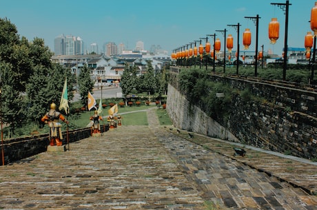 自动自发读后感 芸芸众生