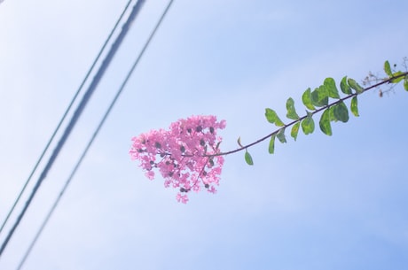 北京大学在职研究生 同时开办资本