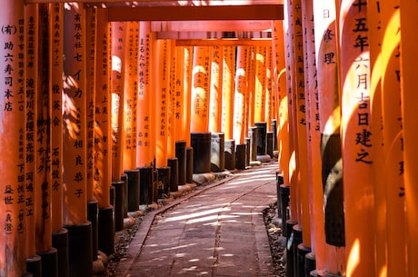 在荒废神社中继续调查(探秘荒废神社)