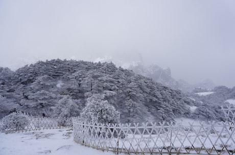 华晨宇背景(华晨宇背景：从师范生到成为超级巨星)